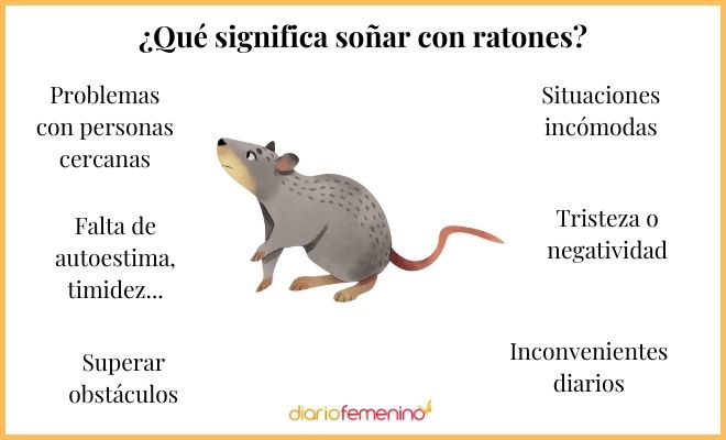 Descubre el Significado Espiritual de Soñar con Ratas 2 descubre el significado espiritual de sonar con ratas
