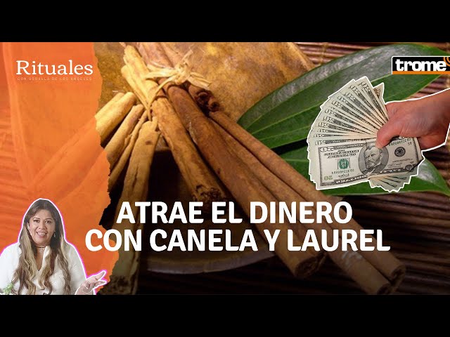 Descubre el Significado Oculto del Laurel en la Historia 2 descubre el significado oculto del laurel en la historia