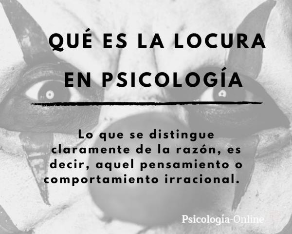 Descubre el Verdadero Significado de la Locura en Psicología 2 descubre el verdadero significado de la locura en psicologia