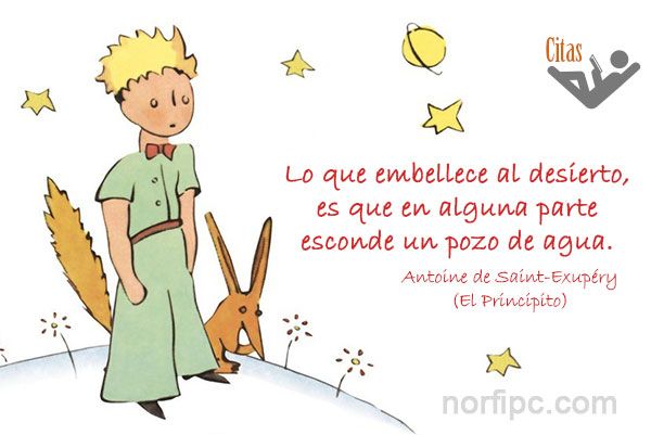descubre la alma noble de saint exupery en el principito