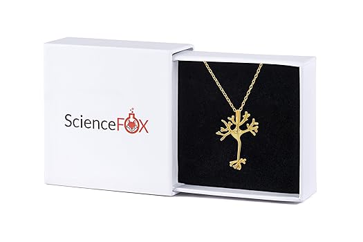 Descubre la Belleza y Detalles Fascinantes de Neuronas 2 descubre la belleza y detalles fascinantes de neuronas