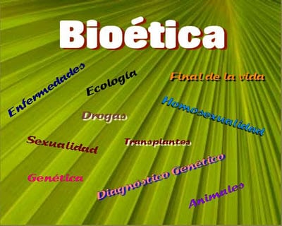 Descubre la Bioética: Claves y Beneficios en Madrid 2 descubre la bioetica claves y beneficios en madrid