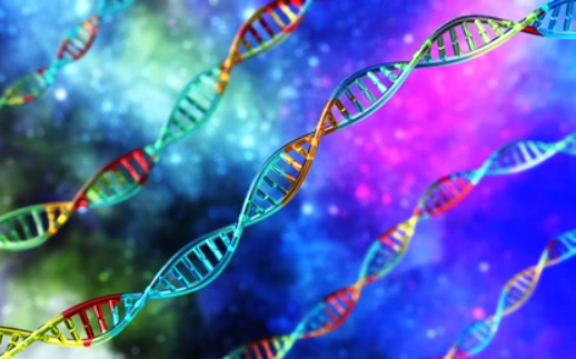 Descubre la Estructura y Funciones del ADN: Terapia Online 2 descubre la estructura y funciones del adn terapia online