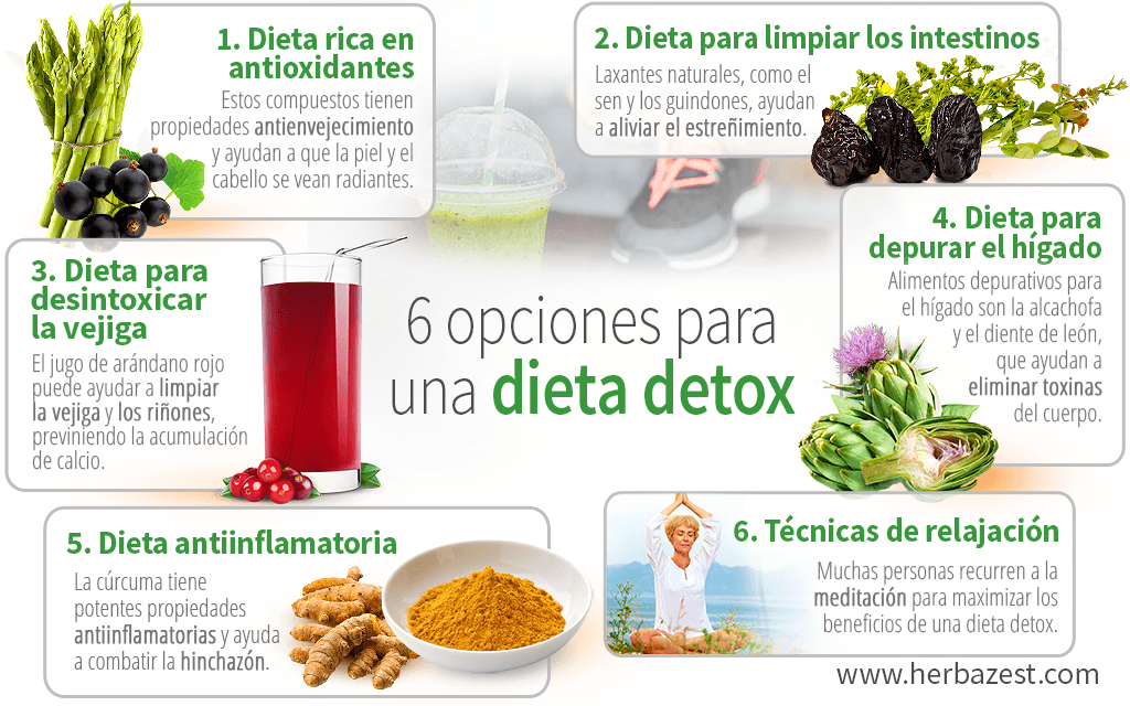 Descubre la Importancia de la Desintoxicación Corporal 2 descubre la importancia de la desintoxicacion corporal