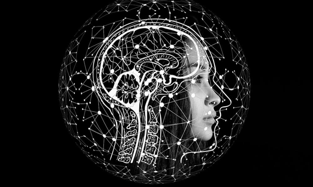 Descubre la Importancia del Sistema Nervioso Autónomo 2 descubre la importancia del sistema nervioso autonomo