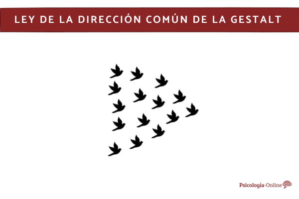 Descubre la Ley de Dirección Común en Terapia Online 2 descubre la ley de direccion comun en terapia online