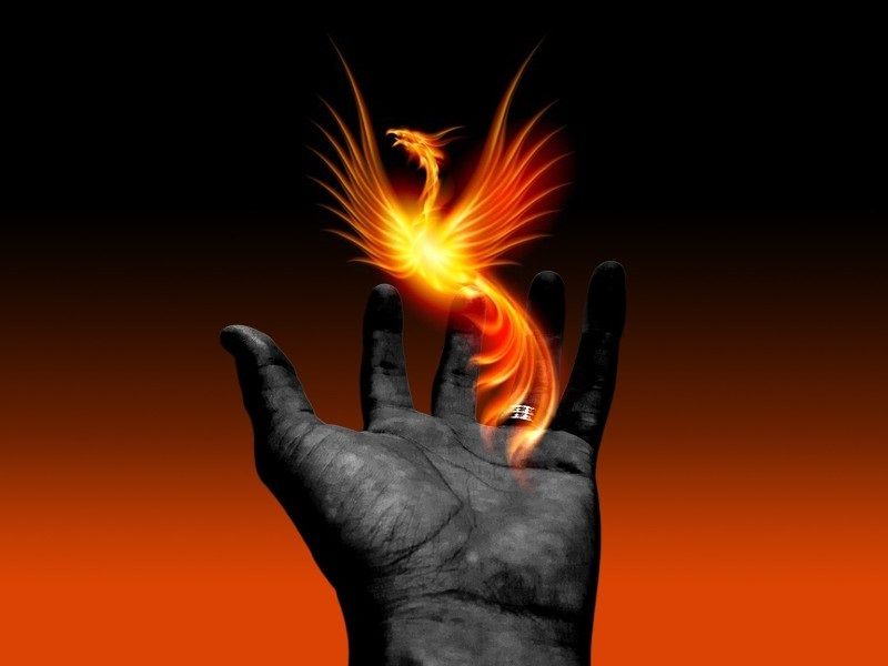 Descubre la Magia del Ave Fénix: Transforma tu Vida Hoy 2 descubre la magia del ave fenix transforma tu vida hoy