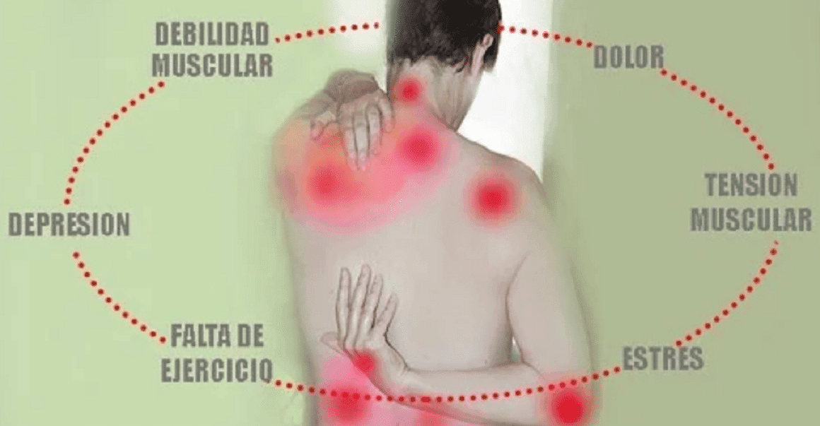 Descubre la Neurastenia: Síntomas y Tratamientos Efectivos 2 descubre la neurastenia sintomas y tratamientos efectivos