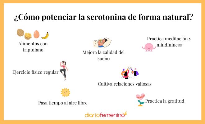 Descubre la Serotonina: Funciones y Beneficios Esenciales 2 descubre la serotonina funciones y beneficios esenciales
