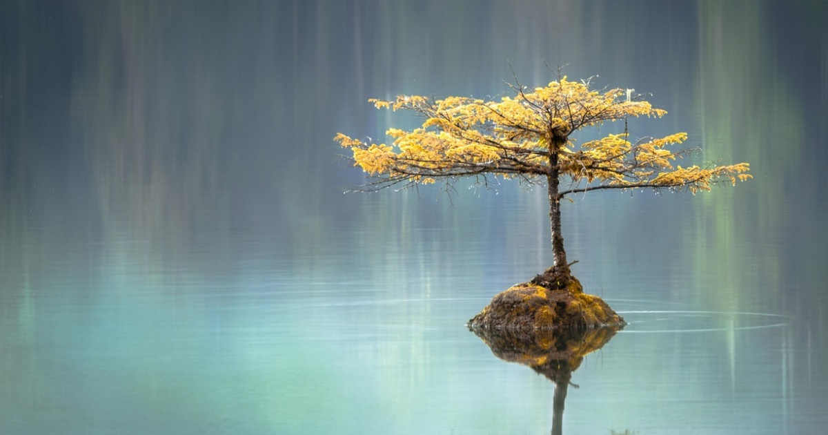 Descubre la Tranquilidad: ¡Todo Saldrá Bien y Más! 2 descubre la tranquilidad todo saldra bien y mas