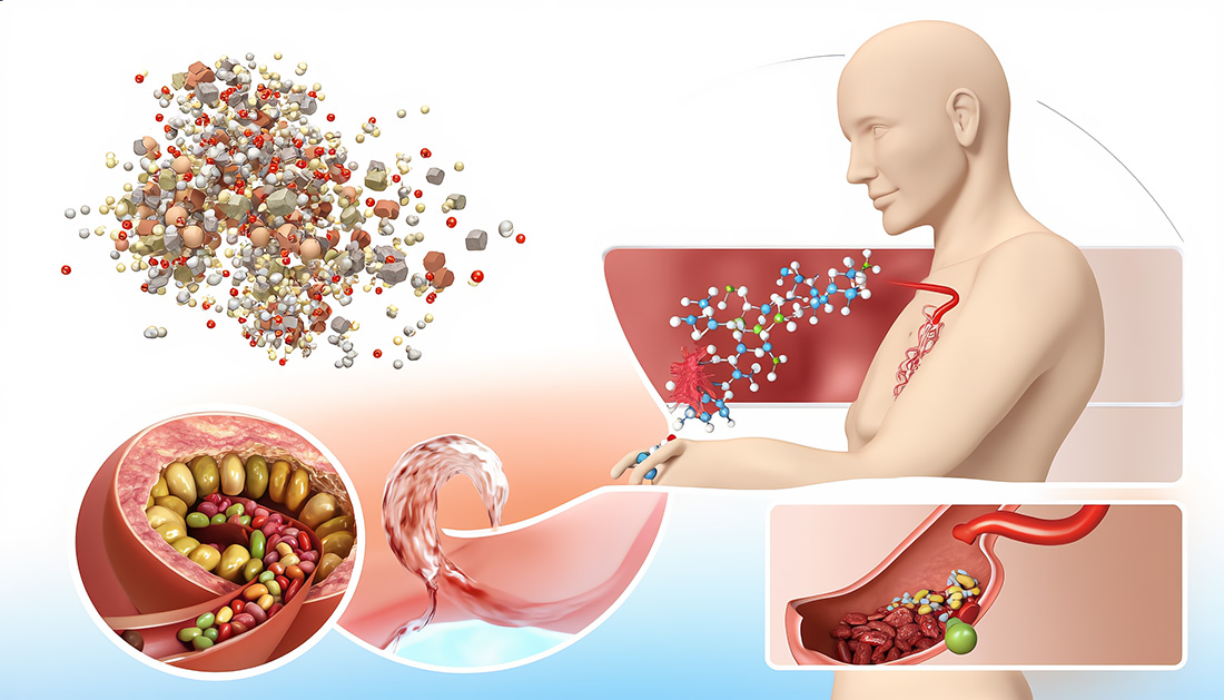 descubre las 7 claves del intestino funciones esenciales