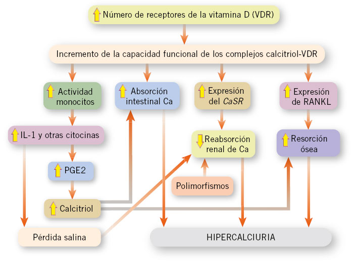 Descubre las Citocinas: Funciones Claves que Ignoras 2 descubre las citocinas funciones claves que ignoras