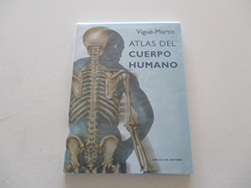 Descubre las Claves de la Estructura Anatómica en Madrid 2 descubre las claves de la estructura anatomica en madrid