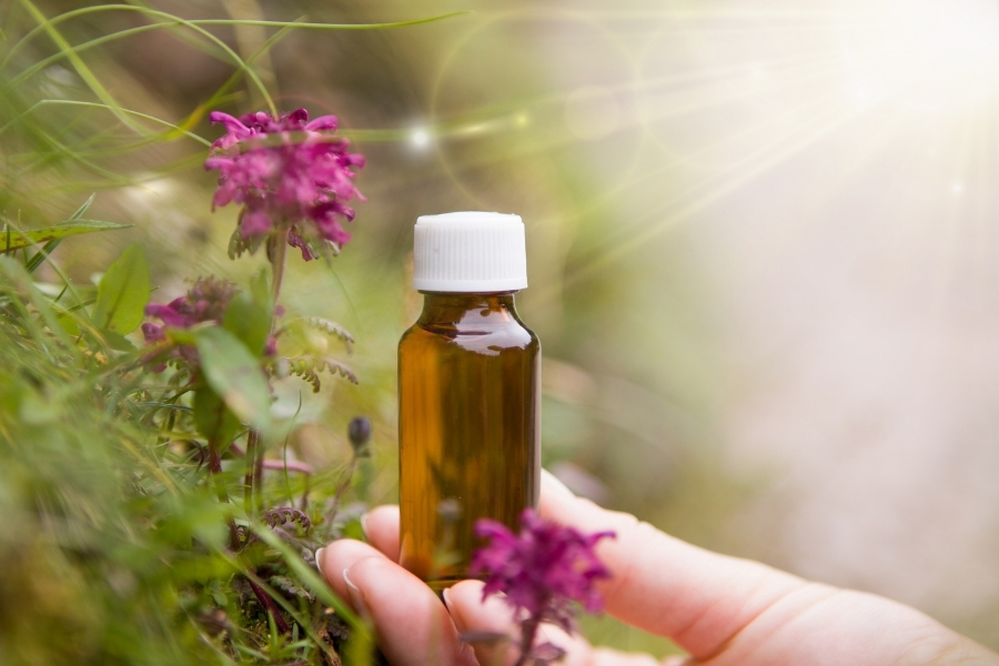 descubre las flores de bach beneficios y usos sorprendentes