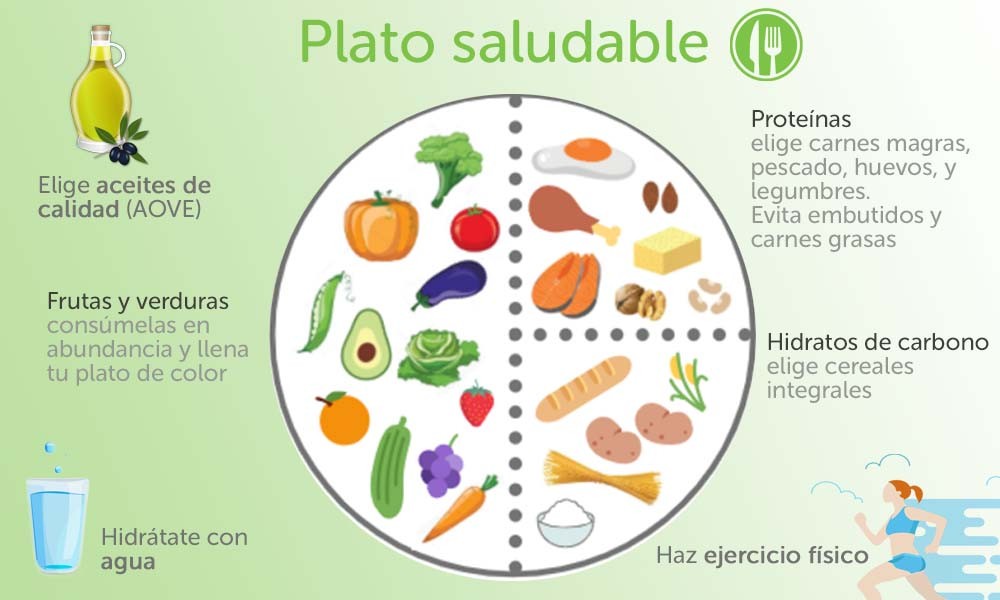 Descubre los 12 Tipos de Nutrición para Mejorar Tu Salud 2 descubre los 12 tipos de nutricion para mejorar tu salud