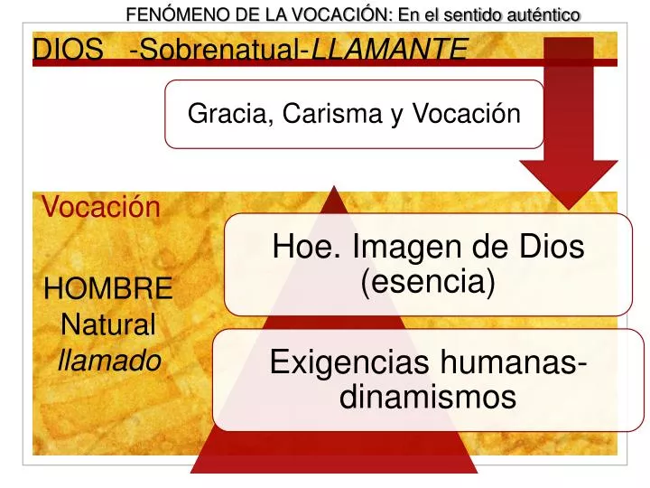 Descubre los 4 Tipos de Carisma que Atraen a Todos 2 descubre los 4 tipos de carisma que atraen a todos