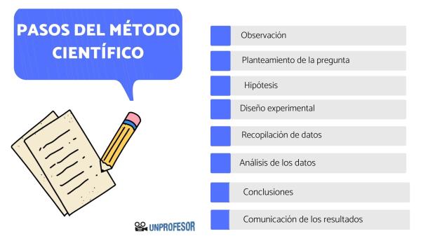 descubre los 8 pasos esenciales del metodo cientifico