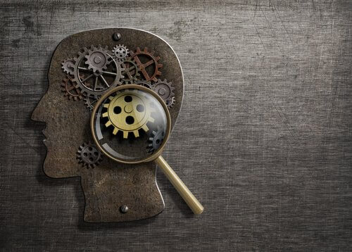 Descubre los 8 Procesos Mentales del Psicológico Superior 2 descubre los 8 procesos mentales del psicologico superior