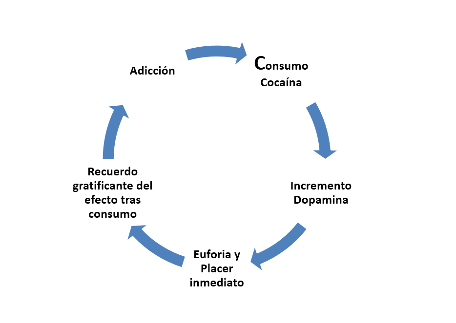 Descubre los Impactantes Efectos y Tipos de Heroína 2 descubre los impactantes efectos y tipos de heroina