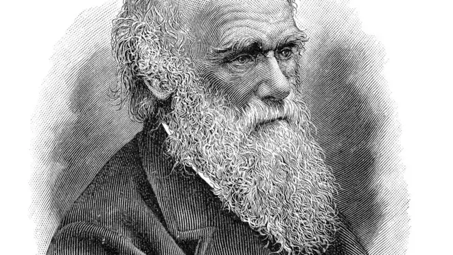 descubre los secrets de la seleccion natural y evolucionismo