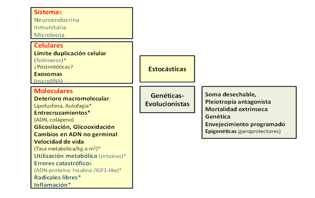 descubre los tipos y funciones de las sex cells en terapia