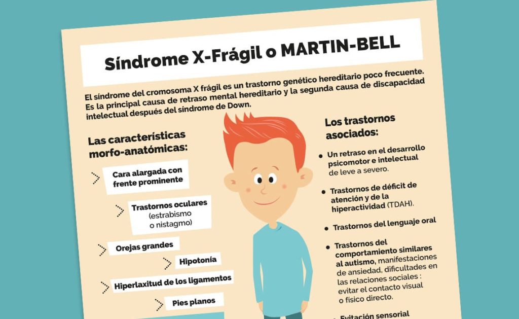 Descubre Tipos de Discapacidad y sus Sorprendentes Rasgos