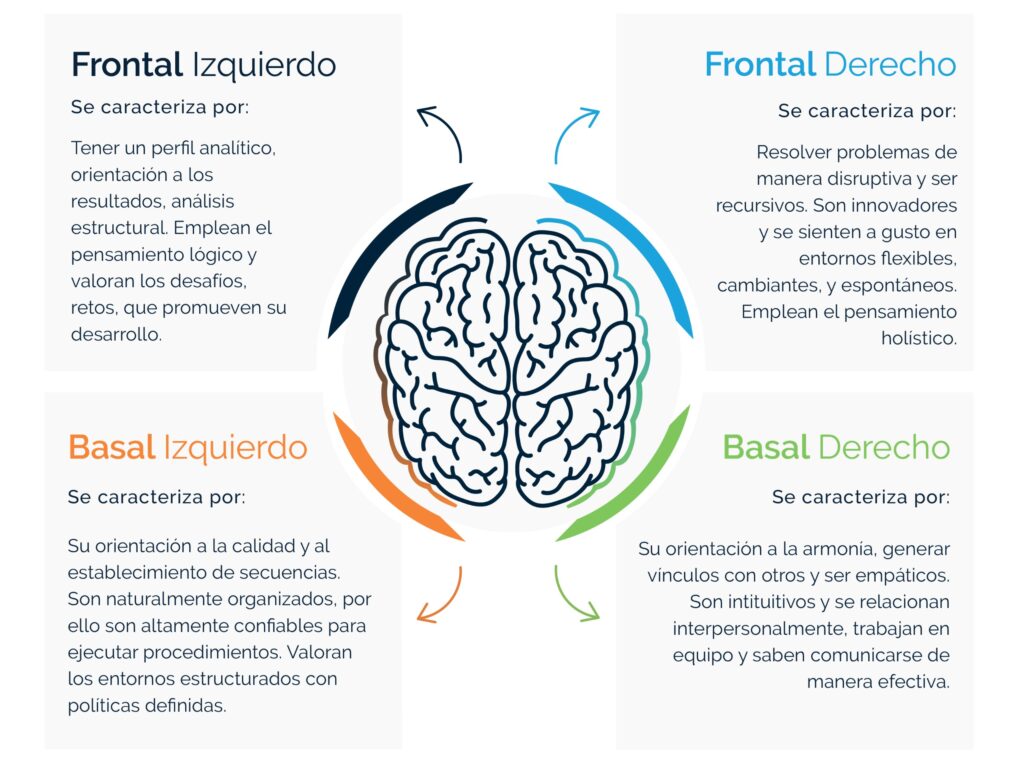 descubre tu estilo con los cuadrantes cerebrales herrmann