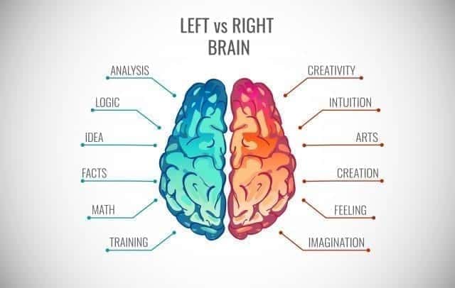 Descubre tu Hemisferio Cerebral Dominante ¡Haz el Test Gratis! 2 descubre tu hemisferio cerebral dominante haz el test gratis