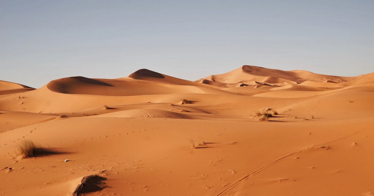 Desierto: 11 TIPOS y sus CARACTERÍSTICAS ESENCIALES 2 desierto 11 tipos y sus caracteristicas esenciales