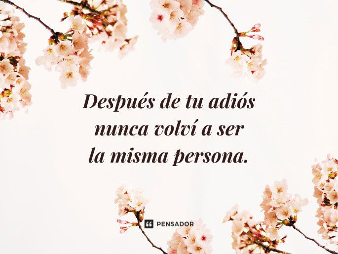 Despedidas de UN SER QUERIDO - REFLEXIONES que SANAN el ALMA 2 despedidas de un ser querido reflexiones que sanan el alma