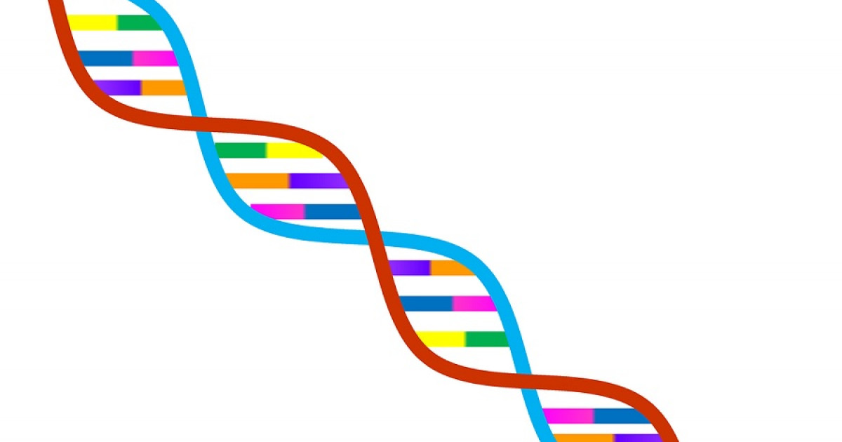 Determinismo Genético: Qué es y su IMPACTO en la CIENCIA 2 determinismo genetico que es y su impacto en la ciencia