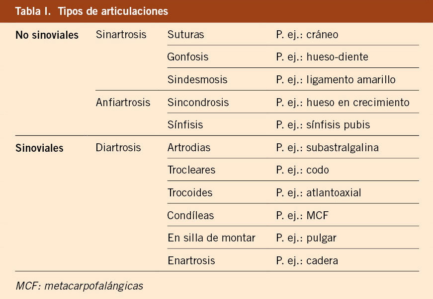Diartrosis: Tipos, Características y Su Valor Anatómico 29 diartrosis tipos caracteristicas y su valor anatomico