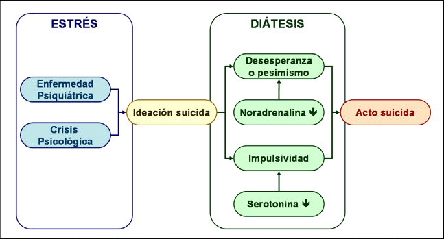 DIÁTESIS-ESTRÉS: CLAVE para ENTENDER ENFERMEDADES MENTALES 2 diatesis estres clave para entender enfermedades mentales