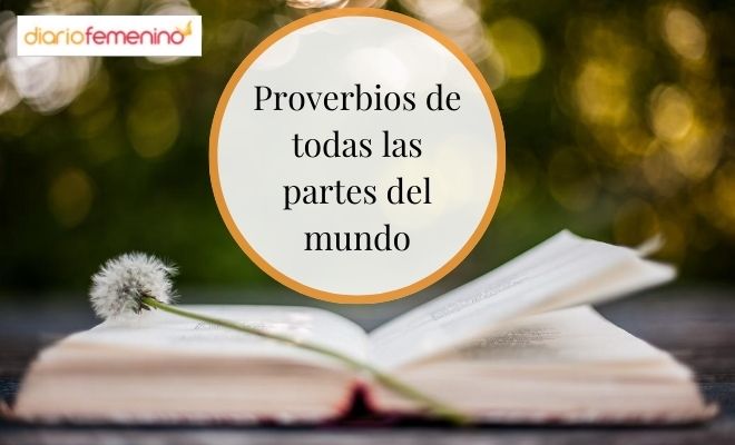DICHOS ITALIANOS: 40 PROVERBIOS que ENSEÑAN SABIDURÍA 2 dichos italianos 40 proverbios que ensenan sabiduria