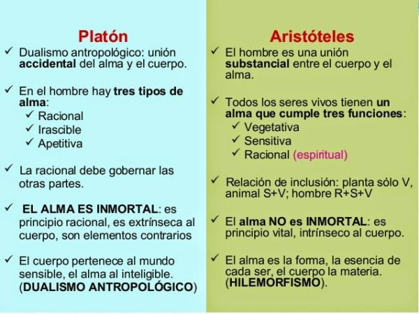 Diferencia entre PLATÓN y ARISTÓTELES - ¡Descubre sus IDEAS! 2 diferencia entre platon y aristoteles descubre sus ideas