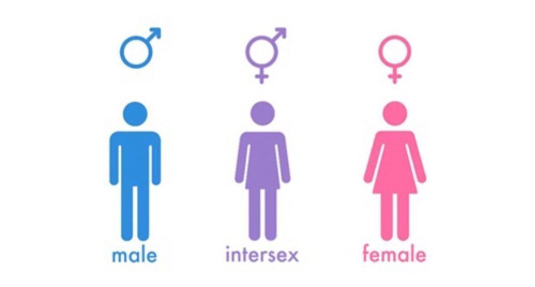 diferencias biologicas 12 sorprendentes hechos entre generos