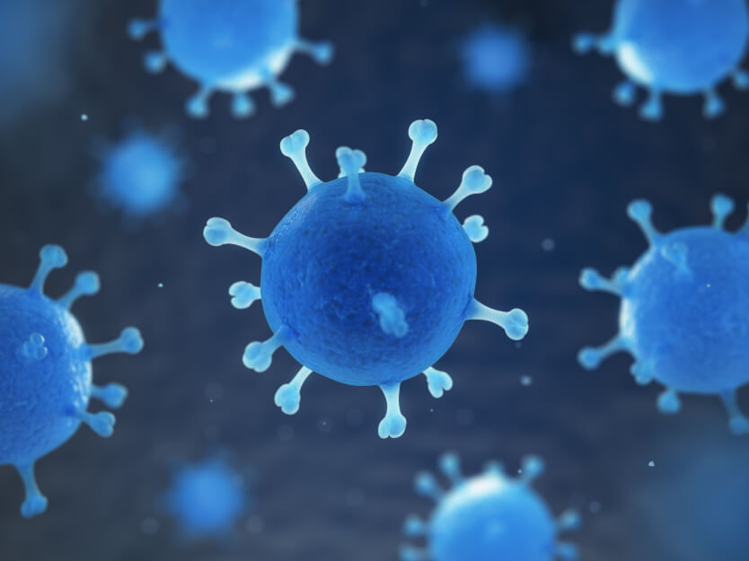 Diferencias Clave entre Virus y Bacterias: ¡Descúbrelas! 2 diferencias clave entre virus y bacterias descubrelas