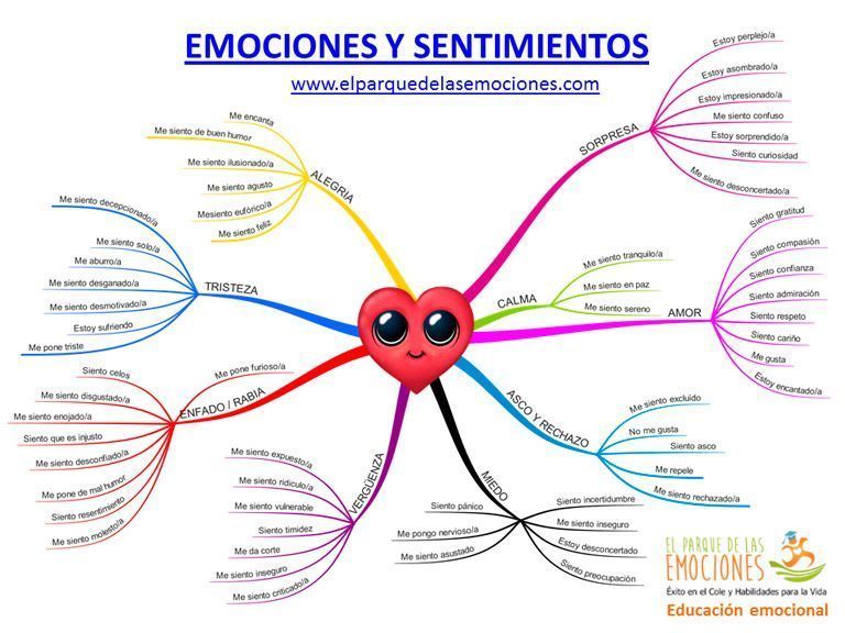 diferencias entre emociones y sentimientos para tu bienestar