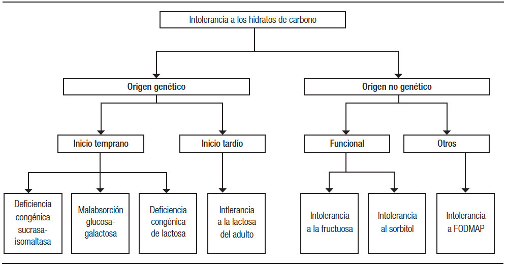 diferentes tipos de diarrea clasificacion clara y util