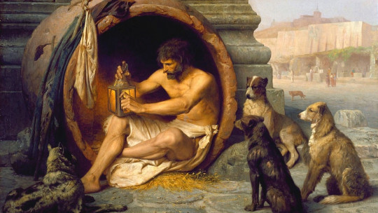 diogenes syndrome causas sintomas y tratamiento efectivo
