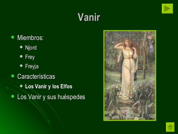 Diosas VIKINGAS: Descubre las 6 más CÉLEBRES y PODEROSAS 2 diosas vikingas descubre las 6 mas celebres y poderosas