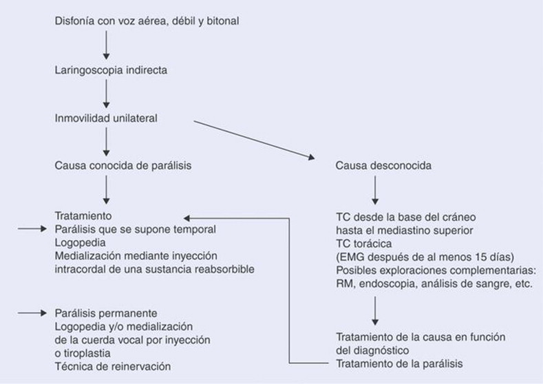 disquinesia descubre tipos sintomas y causas esenciales