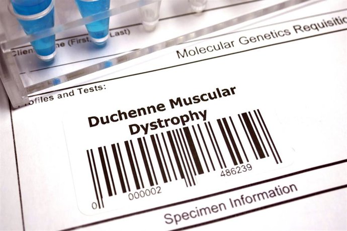 distrofia muscular de duchenne causas y sintomas revelados