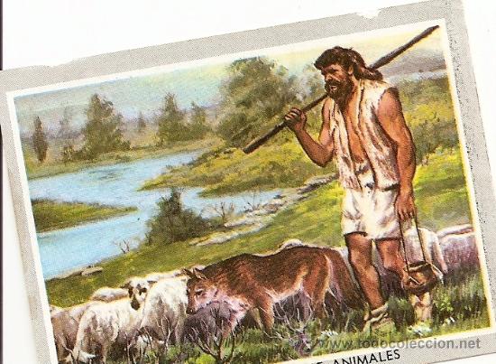 domesticacion de animales que es y como se manifesta