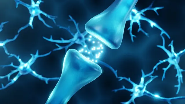 dopamina en el cerebro claves que transforman tu vida