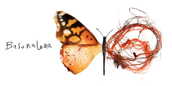Efecto MARIPOSA y TEORÍA del CAOS - Descubre su IMPACTO! 2 efecto mariposa y teoria del caos descubre su impacto