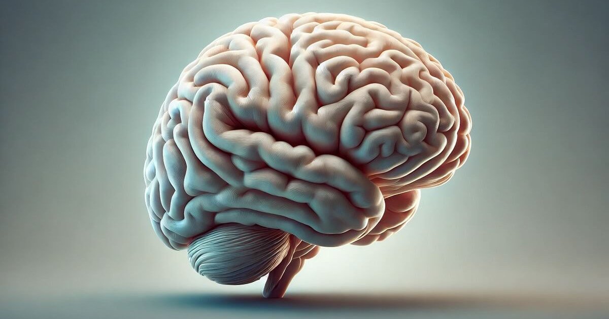 efectos del alcohol en el cerebro impacto revelador