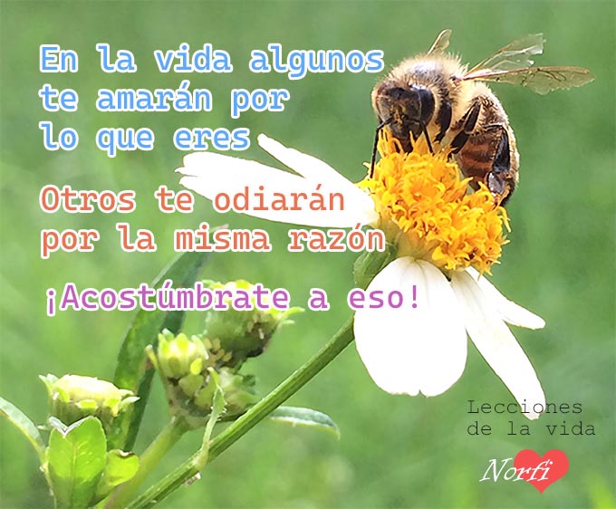 Ejemplos de SINCERIDAD en la VIDA REAL - Lecciones VALIOSAS 2 ejemplos de sinceridad en la vida real lecciones valiosas