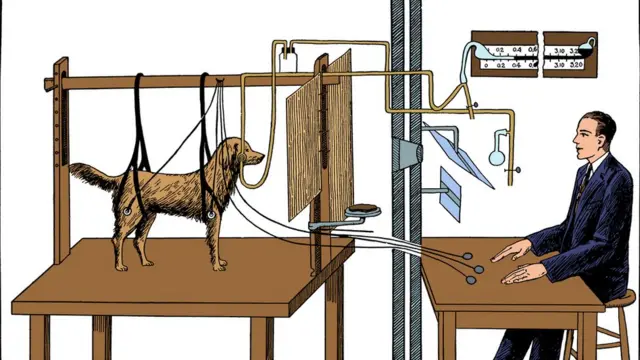 el experimento de pavlov como transformo la psicologia