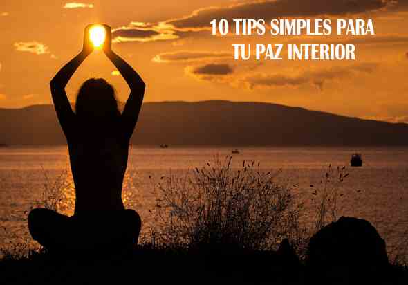 El PERDÓN y la BUENA CONCIENCIA: Claves para la PAZ INTERIOR 2 el perdon y la buena conciencia claves para la paz interior